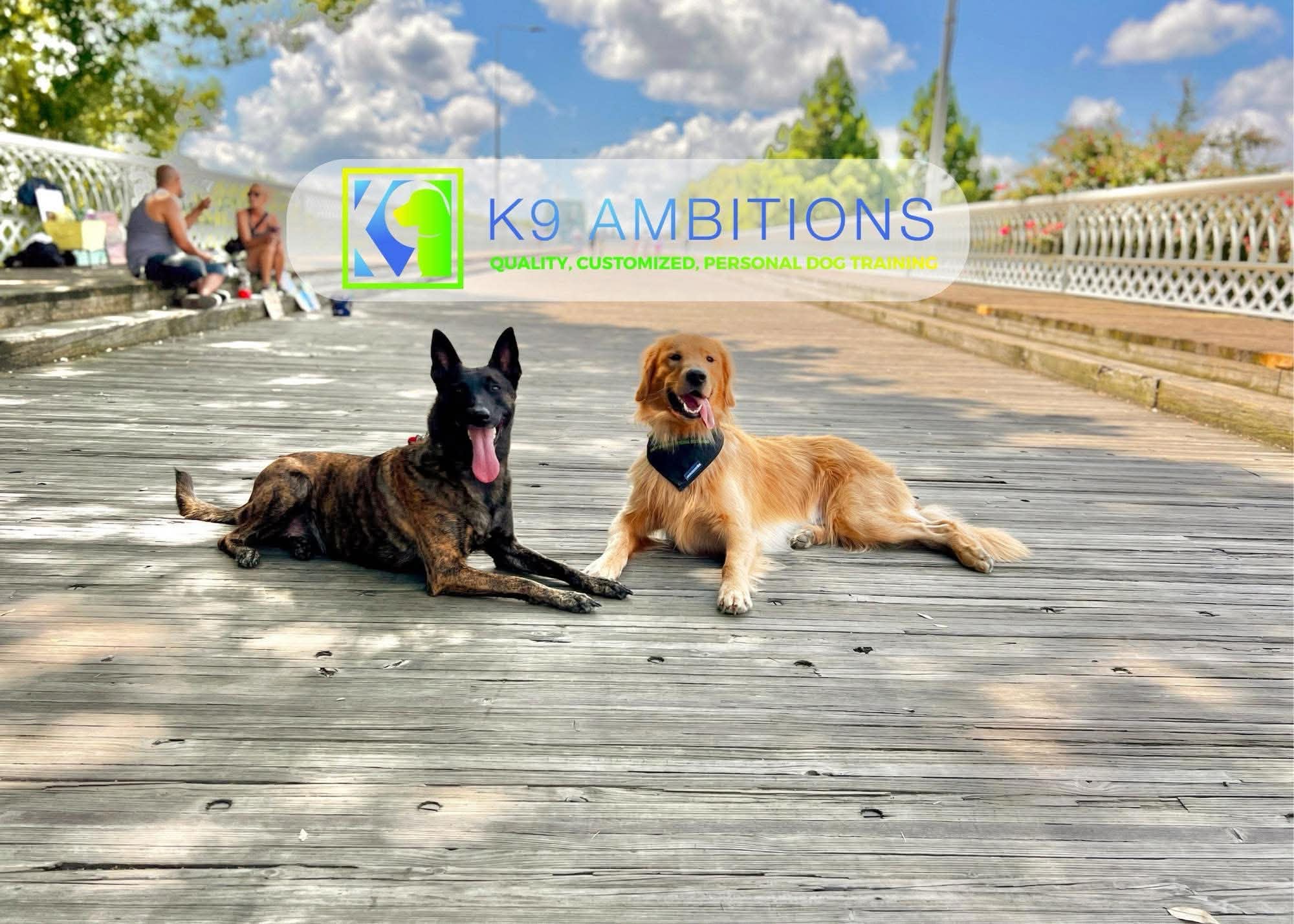 Two K9 Ambitions trained dogs holding a down-stay on a bridge under the K9 Ambitions logo